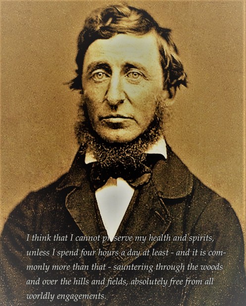 thoreau walking quote