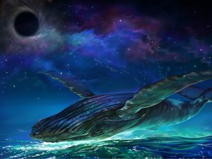 whale and wormhole